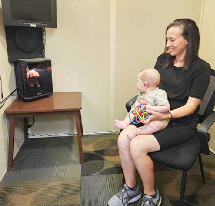Infant hearing program assessment