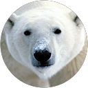 Bastien Goodman profile picture